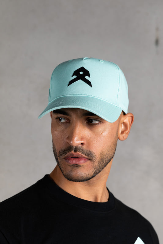 Anthem - Icon Cap (Glacier)